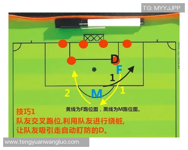 乒乓球技艺探究：西安乒乓球队防守策略与技巧全解析