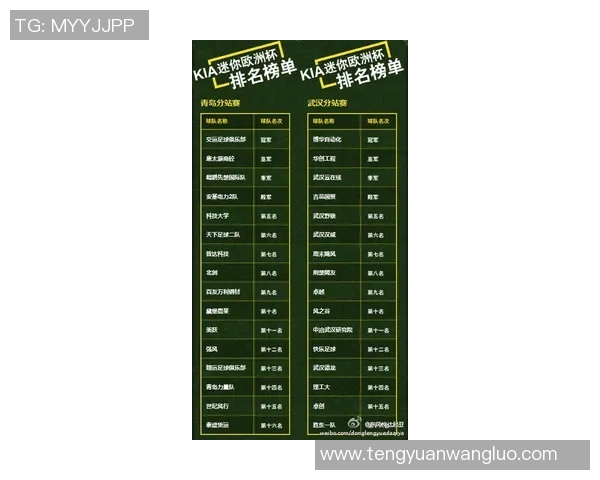 武汉网球队在钻石联赛积分榜上以69分稳居第一名展现强劲实力