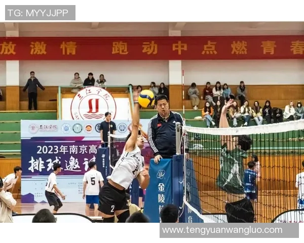 重庆排球队逆袭之旅揭秘大师赛背后的奋斗与荣耀 重庆排球队逆袭之旅揭秘大师赛背后的奋斗与荣耀