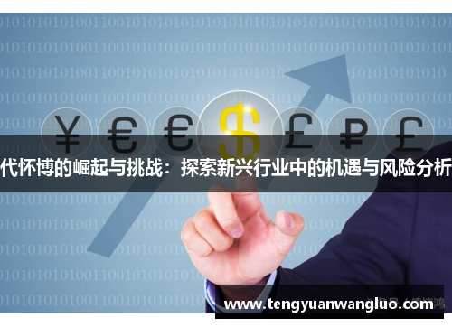 代怀博的崛起与挑战：探索新兴行业中的机遇与风险分析