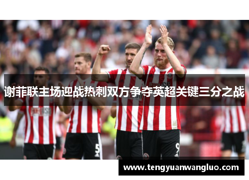 谢菲联主场迎战热刺双方争夺英超关键三分之战