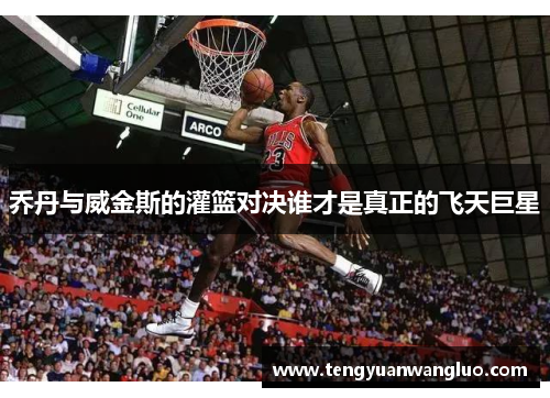 乔丹与威金斯的灌篮对决谁才是真正的飞天巨星